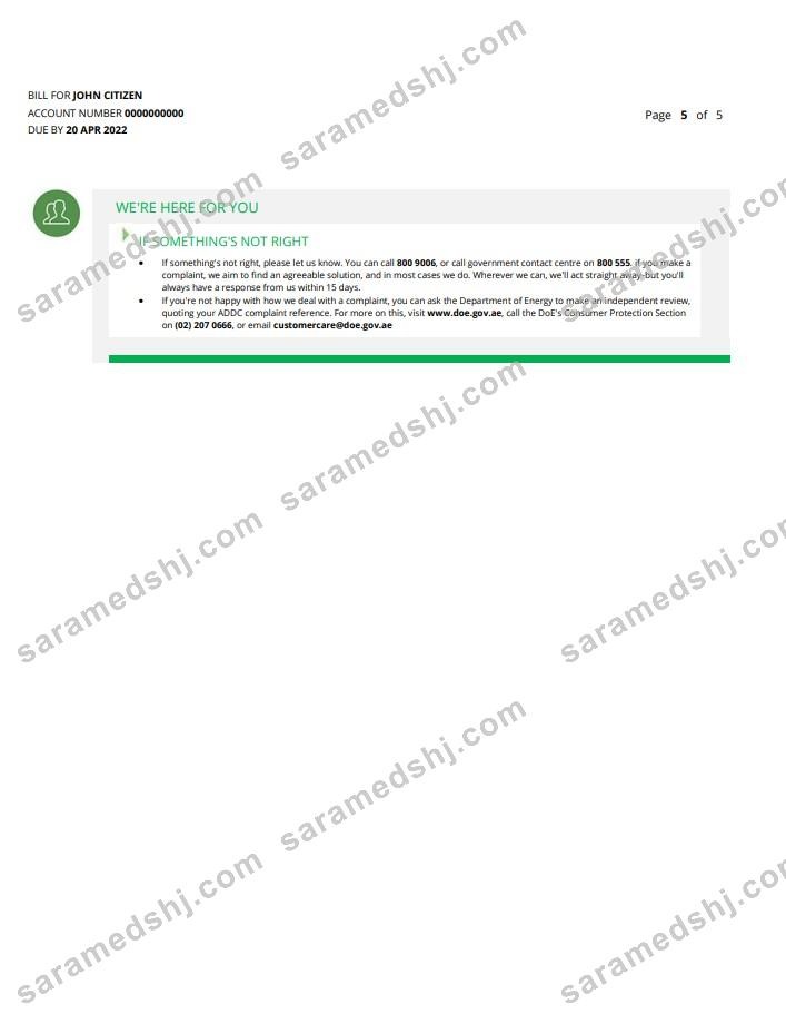 UAE Ajman Al Ain Distribution Co. Word and PDF utility bill template (5 pages) 5